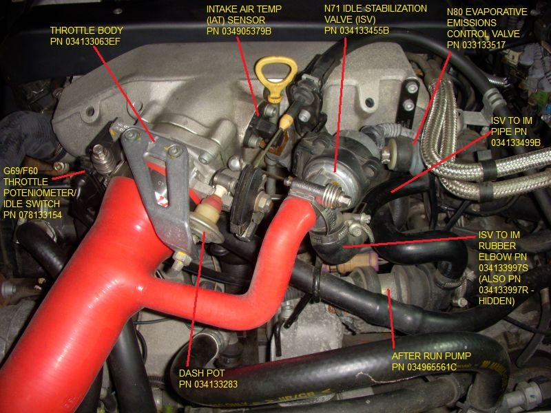 evaporative emission system